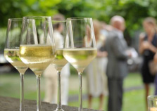 British Embassy Residence End of Summer Drinks Party - Closed