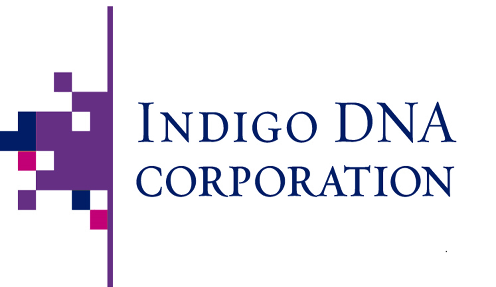 Indigo DNA Corporation Transparent Logo