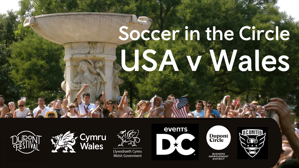 usa v wales resized